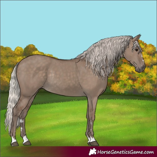 Horse Color:Silver Grullo Rabicano