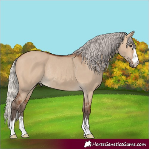 Horse Color:Silver Brown Dun Rabicano 