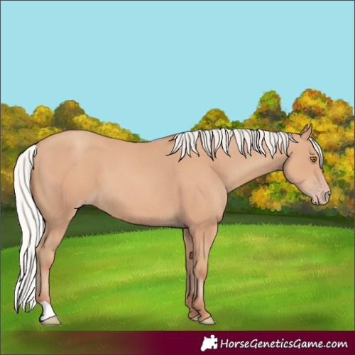 Horse Color:Silver Classic Champagne 
