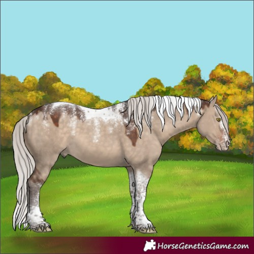 Horse Color:Powder White Silver Brown Dun Tobiano 