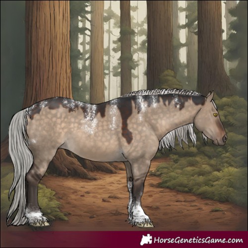 Horse Color:Powder White Silver Brown Dun Tobiano Rabicano 