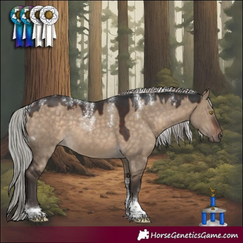 Horse Color:Powder White Silver Brown Dun Tobiano Rabicano 