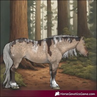 Horse Color:Powder White Silver Brown Dun Tobiano Rabicano