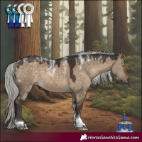 Horse Color:Powder White Silver Brown Dun Tobiano Rabicano 