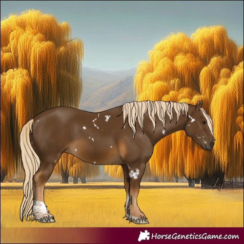 Horse Color:White Spotted Chocolate Palomino Tobiano Rabicano