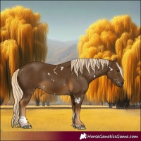 Horse Color:White Spotted Chocolate Palomino Tobiano Rabicano 