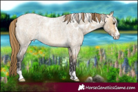 Horse Color:Buckskin Ice Roan Dun Skewed LP Spotted 