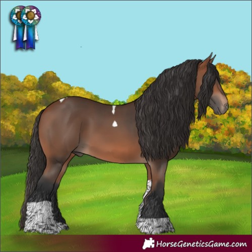 Horse Color:Bay Tobiano 