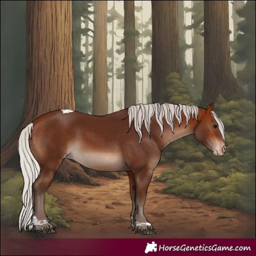 Horse Color:Silver Bay Tobiano Appaloosa