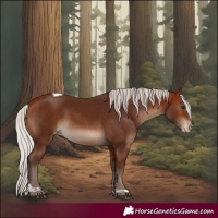 Horse Color:Silver Bay Tobiano Varnish 