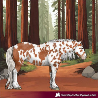 Horse Color:Silver Bay Tobiano Skewed LP Spotted Rabicano 
