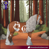 Horse Color:Silver Bay Tobiano Skewed LP Spotted 