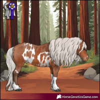 Horse Color:Silver Bay Tobiano Skewed LP Spotted 