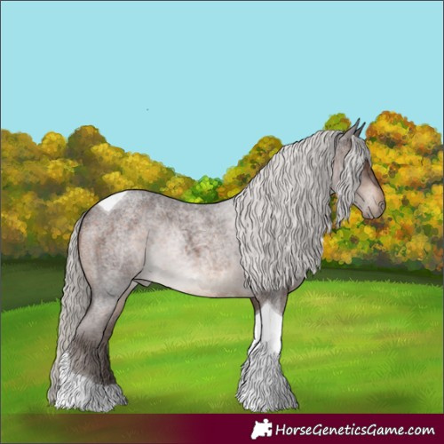 Horse Color:Silver Brown Roan Tobiano 
