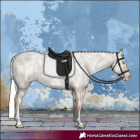 Horse Color:Silver Amber Champagne Pearl Dun Tobiano Appaloosa Rabicano and Silver Amber Champagne Pearl Dun Tobiano Appaloosa Rabicano