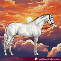 Horse Color:Silver Amber Champagne Pearl Dun Tobiano Appaloosa Rabicano  and Silver Amber Champagne Pearl Dun Tobiano Appaloosa Rabicano 