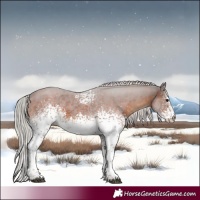 Horse Color:White Spotted Silver Brown Tobiano