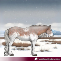 Horse Color:White Spotted Silver Brown Tobiano 