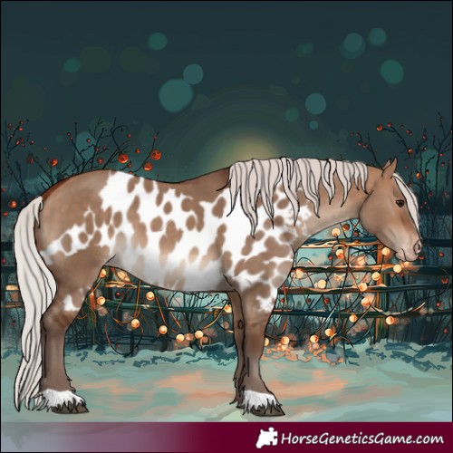 Horse Color:Silver Bay Dun Skewed Appaloosa 