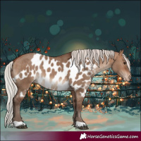 Horse Color:Silver Bay Dun Skewed Appaloosa