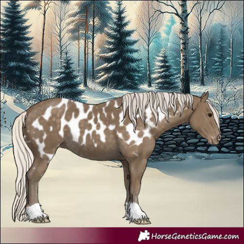 Horse Color:Silver Smoky Black Skewed Appaloosa 