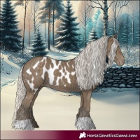 Horse Color:Silver Smoky Black Skewed LP Spotted