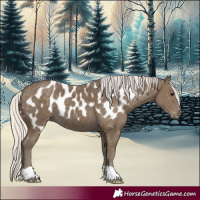 Horse Color:Silver Smoky Black Skewed Appaloosa