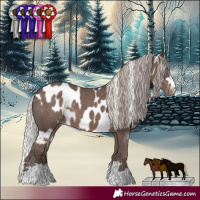 Horse Color:Silver Black Skewed LP Spotted 