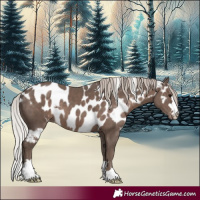 Horse Color:Silver Black Skewed Appaloosa