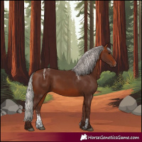 Horse Color:Powder White Silver Bay Rabicano