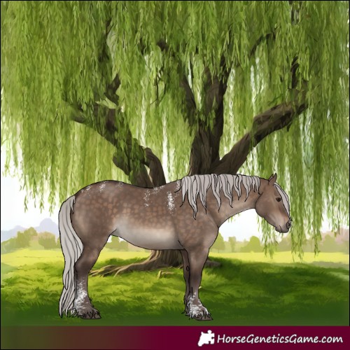 Horse Color:Powder White Silver Brown Dun Rabicano 