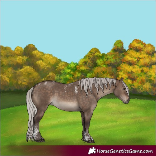 Horse Color:Powder White Silver Brown Dun Rabicano 