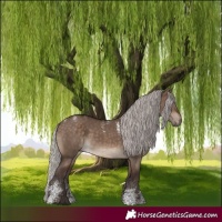 Horse Color:Powder White Silver Brown Dun Rabicano