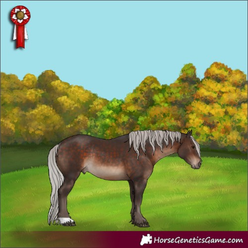 Horse Color:Silver Brown Rabicano 