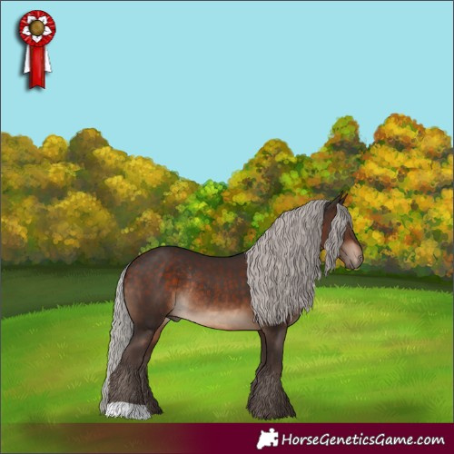 Horse Color:Silver Brown Rabicano 