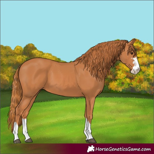 Horse Color:Unknown 