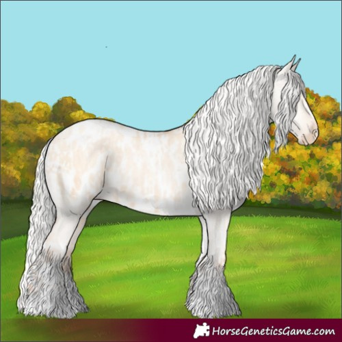 Horse Color:Silver Amber Champagne Pearl Dun Tobiano Appaloosa Rabicano  and Silver Amber Champagne Pearl Dun Tobiano Appaloosa Rabicano 