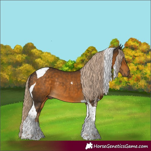 Horse Color:Chocolate Palomino Tobiano Rabicano 