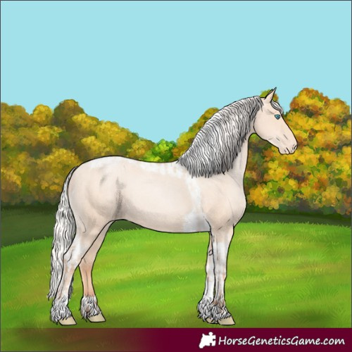 Horse Color:Silver Amber Champagne Pearl Dun Tobiano Varnish Rabicano and Silver Amber Champagne Pearl Tobiano Varnish Rabicano