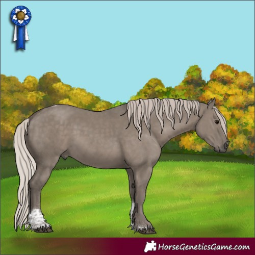 Horse Color:Silver Grullo Tobiano Rabicano 
