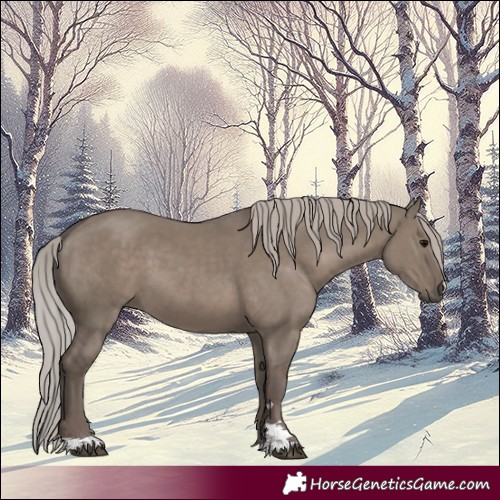 Horse Color:Silver Grullo 