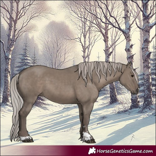 Horse Color:Silver Grullo 