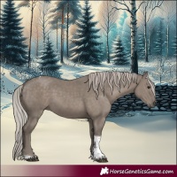 Horse Color:Silver Grullo Tobiano 