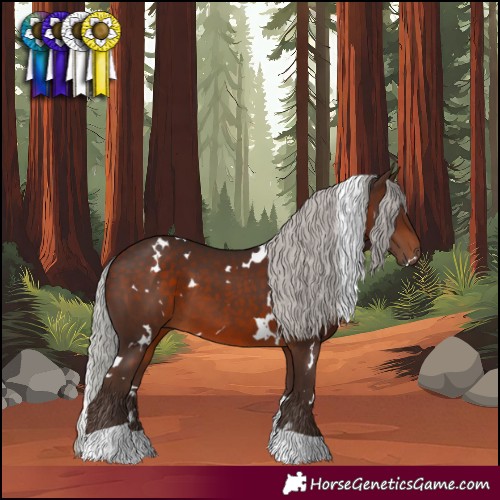Horse Color:White Spotted Silver Brown Tobiano 