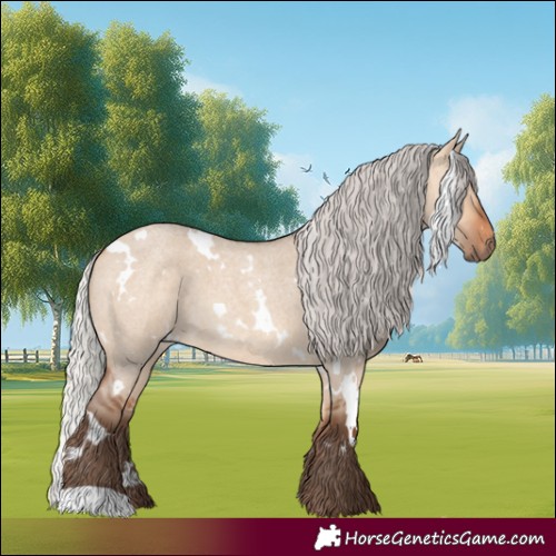 Horse Color:White Spotted Silver Bay Roan Dun 