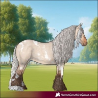 Horse Color:White Spotted Silver Bay Roan Dun 