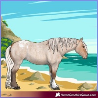 Horse Color:Silver Bay Roan Dun Tobiano Varnish Rabicano 