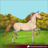 Horse Color:Red Dun Tobiano