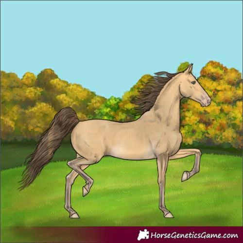 Horse Color:Amber Cream Champagne 