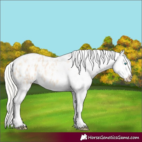 Horse Color:Silver Amber Champagne Pearl Dun Tobiano Blanket Rabicano  and Silver Bay Pearl Dun Tobiano Blanket Rabicano 